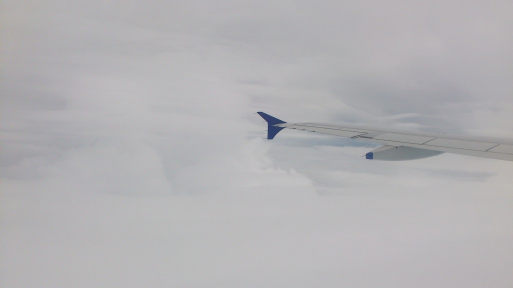 Flight Cabin View